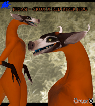 Second Life Marketplace - PEGASI - CRUX X RED RIVER HOG